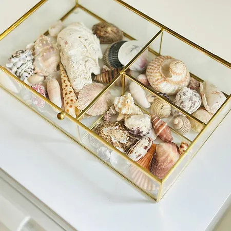 La O'brise - Close To And Center Ostende