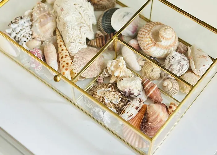 La O'brise - Close To And Center Oostende